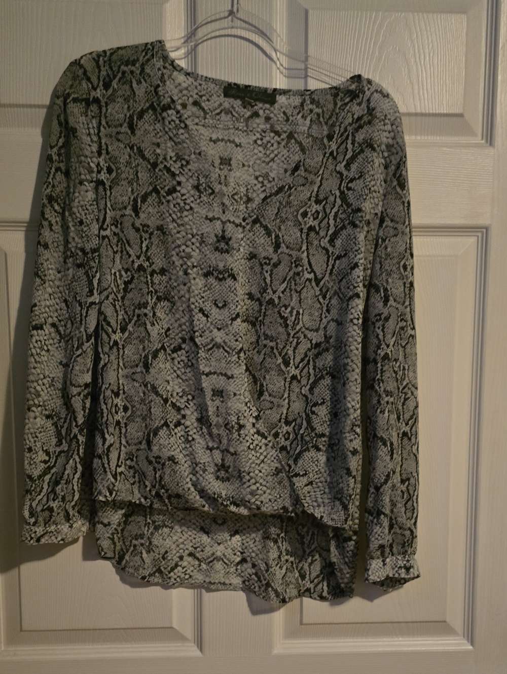 Rose & Olive Sheer Python Top L